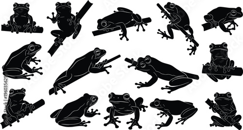 Frog Silhouette Vector Set with Tree Frogs Sitting on Branches for Wildlife, Nature, Amphibian Illustrations, Environmental Design, and Animal Graphic Collections