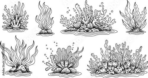 Underwater Coral Reef Vector Set with Sea Plants, Marine Flora, and Ocean Floor Elements for Aquarium Design, Marine Biology, and Nature Illustrations