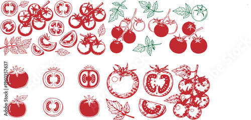 Tomato Set Outline Sketch Vector Illustration – Hand Drawn Food Elements