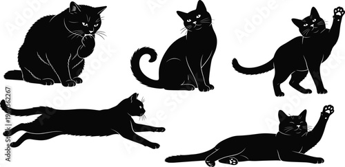 Vintage Wild Turkey Vector Illustration, Hand Drawn Engraving Style Poultry Bird Graphic for Thanksgiving Decor, Farmhouse Art, and Autumn Nature Projects