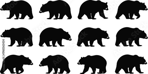 Walking bear silhouette set vector illustration showing animation frames of grizzly animal movement isolated on white background for nature design