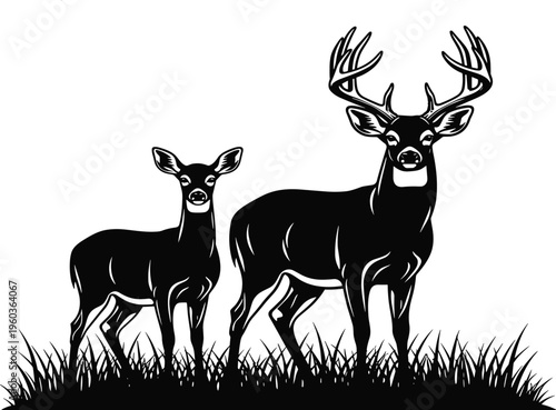 Whitetail Deer Silhouette Vector, Buck with Antlers and Doe Standing in Grass, Wild Animal Nature Graphics, Hunting Season Wildlife Illustration