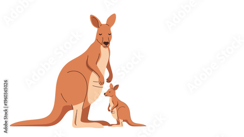 Illustration of a kangaroo and joey standing together on a clean white background in a warm color palette.
