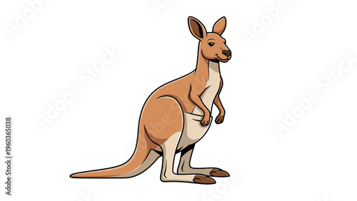 Illustration of a kangaroo standing on its hind legs with a pouch against a clean white background.