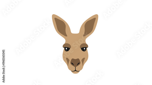 Close-up illustration of a kangaroo's face with large ears and brown fur on a white background.