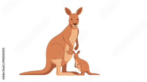 Flat illustration of a kangaroo and joey sitting together on a plain white background.