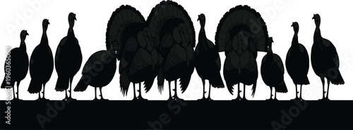 Wild Turkey Silhouettes Collection, Standing and Strutting Poultry Bird Vector Graphics, Thanksgiving Nature Icons for Farmhouse Decor, Autumn Design, and Hunting