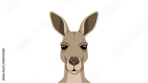 Digital illustration of a kangaroo's head with large ears and brown fur on a white background.
