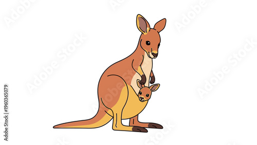 Illustration of a kangaroo with a joey peeking out of its pouch on a plain white background.