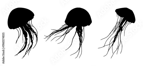 Jellyfish silhouette set with flowing translucent tentacles and soft glowing outline featuring marine life, underwater, illustration with minimalism and silhouette