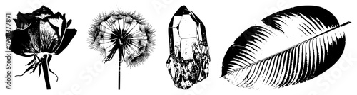 Rose bud, dandelion seed head, crystal, banana leaf stylized botanical and mineral forms, vector art, nature motifs, graphic design elements.