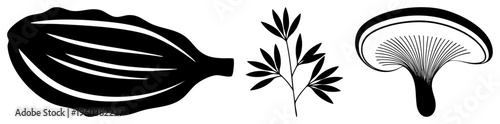 Stylized plant elements in minimalist black and white, including elongated leaf, branching foliage, and fan shaped mushroom, ideal for graphic design.