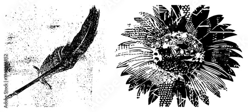 Black and white feather quill and sunflower rendered in halftone, vector illustration, graphic design elements, artistic textures, vintage print style.