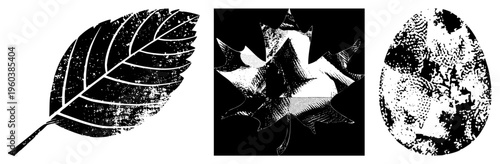 Grunge styled leaf cutouts with halftone, botanical vector designs, nature motifs, distressed foliage, black and white illustrations, graphic elements for print or digital use.