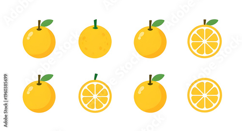 orange design illustration, fruit design illustration, citrus design illustration, juicy design illustration, fresh design illustration, vitamin design illustration, healthy design illustration, nutri