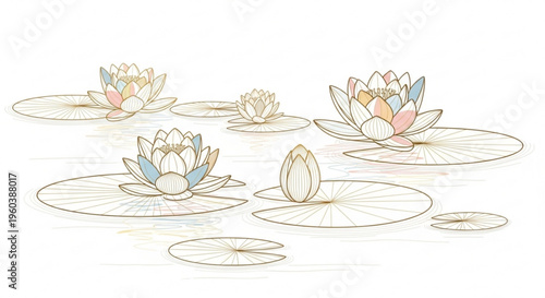 Water lilies floating on pond with lily pads in soft pastel colors and line art style