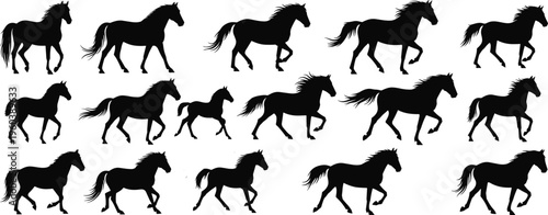 Foto Horse silhouettes in galloping motion sequence, equine locomotion study, vector