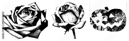 Detailed halftone roses and spooky jack o lantern, vector illustrations, stylized and Halloween, art, graphic design elements.