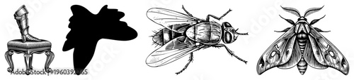 Footwear atop decorative stool, silhouette profile, fly and moth engravings, detailed vector art, black and white illustration, classic engraving style, entomological sketches.