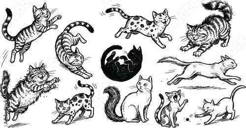 Vintage Hand Drawn Cat Action Set Featuring Jumping Running Stretching And Playing Kittens In Etched Engraving Style.