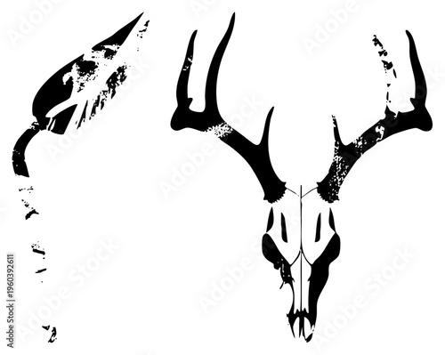 Black and white vector illustration of deer skull with antlers and feather, gritty texture, wildlife motif, graphic design element, tribal art style.
