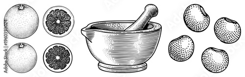 Hand drawn mortar and pestle with halftone citrus fruits, botanical illustration, herbal grinding tool, culinary equipment, black and white vector art.