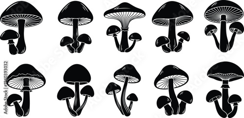 Mushroom silhouette collection diverse fungi shapes isolated black vector illustration set botanical nature elements detailed caps stems woodland design