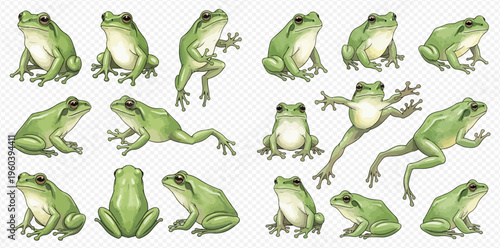 Collection of green tree frogs in various poses on a transparent background, vector illustration.