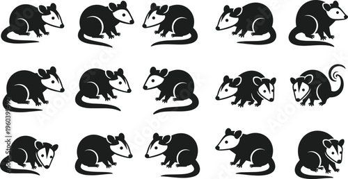Cute Opossum Silhouette Icon Set with Cartoon Style Marsupial Wildlife Animal Poses for Kids Education Mascots Nature Projects and Graphic Design Illustrations