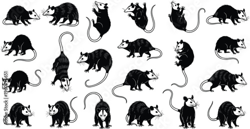 Opossum Silhouette Icon Set with North American Marsupial Wildlife Animal Pose Collection for Nature Education Ecology Logos Mascots and Graphic Design Projects