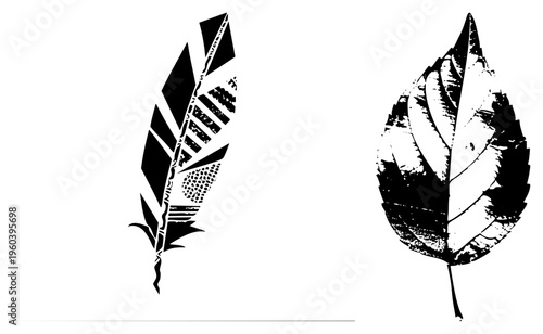 Graphic illustration of feather and leaf with halftone textures, vector art, nature motifs, design, tribal inspired, isolated elements.