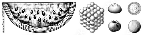 Classic engraved style fruit depiction, watermelon rind with seeds, grape cluster, cherry tomato, and eggplant, rendered in halftone dots, vintage botanical art.