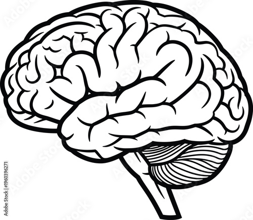 Black and white human brain icon illustration, anatomical neuroscience symbol with cerebral cortex folds, cerebellum, and brainstem design for biology graphics
