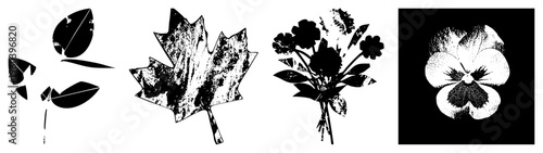 Abstract plant forms including sprout, maple leaf, flower bouquet, and pansy, rendered in high contrast with distressed textures and halftone, ideal for graphic design.