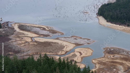 Low Water Levels Reveal Exposed Land and Dead Trees in British Columbia Reservoir, Highlighting Climate Change Impact