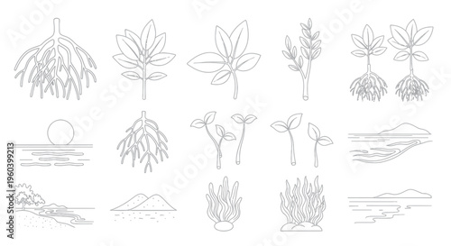 Plant Growth Stages and Natural Elements Line Art Illustration Set
