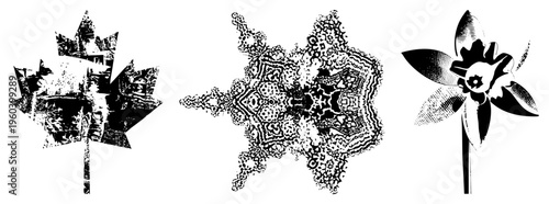 Vector art trio featuring maple leaf with distressed texture, intricate mandala, and halftone pinwheel flower. Graphic design elements for branding or decor.