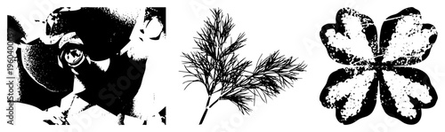 Abstract halftone graphic trio stylized eye, feathery dill sprig, textured four leaf clover all rendered in high contrast vector art.