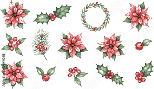 Christmas botanical elements vector set with poinsettia holly pine branches and berries in hand drawn style for festive design