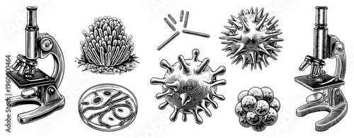Vintage style scientific drawings of pathogens and microscopes, educational biology visuals, microbiology specimens, germ illustrations, lab tools, medical diagrams.