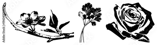 Stylized botanical illustrations including cherry blossom, parsley sprig, and rose, rendered in high contrast vector art with clean and bold silhouettes.