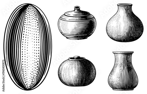 Hand drawn ceramic pots, vintage urns, dotted and hatched textures, antique collection, engraved vector illustration, black and white art.