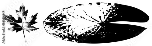 Artistic halftone rendering of maple leaf and water lily, botanical vector art, nature silhouette, graphic design element, isolated foreground.