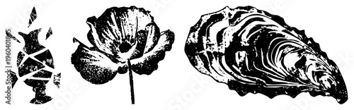 Black and white stylized poppy flower, cracked vase, oyster, halftone texture, graphic design elements, isolated vector art, illustration.