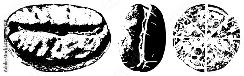 Three coffee bean views whole bean, split bean showing internal structure, section revealing internal cells and pores, rendered in halftone style, ideal for design or educational use.