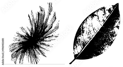 Black and white vector illustrations of a feather and leaf, featuring halftone texture, graphic design elements, isolated foreground, artistic botanical motifs.