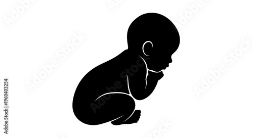 Silhouette of a Newborn Baby Curled Up in a Fetal Position, Representing New Life and Innocence