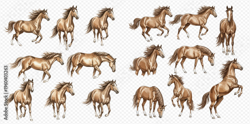 Collection of brown horses in various dynamic poses, including running, walking, standing, and rearing, isolated on a transparent background.