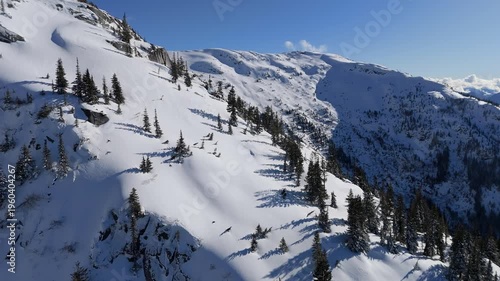 Majestic Snow-Covered Mountains and Pine Trees Under a Clear Blue Sky in British Columbia, Canada