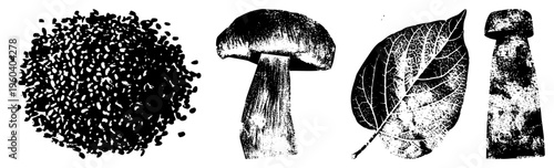 Black halftone illustrations of sesame seeds, mushroom, leaf, and ancient stone artifact. Vector graphic with textured. Botanical and archaeological motifs isolated on transparent background.
